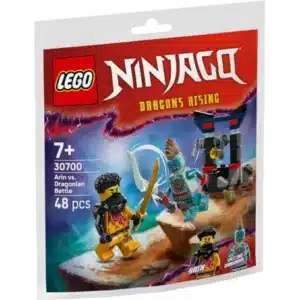 Lego Arin Vs Dragonian Battle