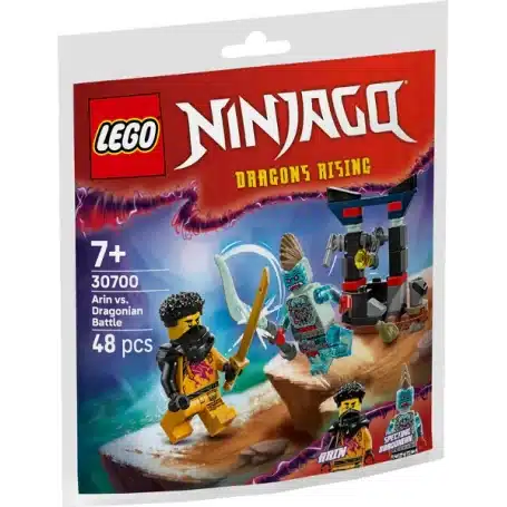 Lego Arin Vs Dragonian Battle
